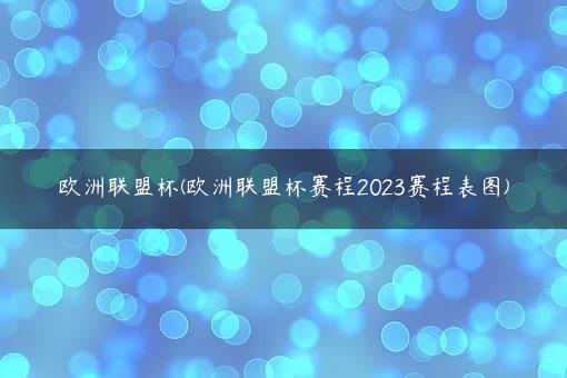 欧洲联盟杯(欧洲联盟杯赛程2023赛程表图)