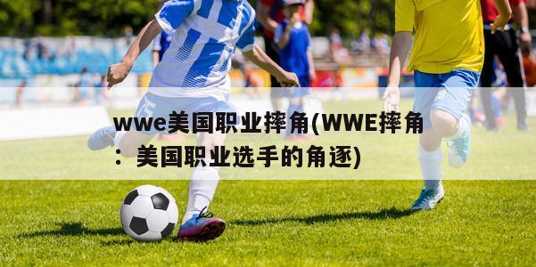 wwe美国职业摔角(WWE摔角：美国职业选手的角逐)