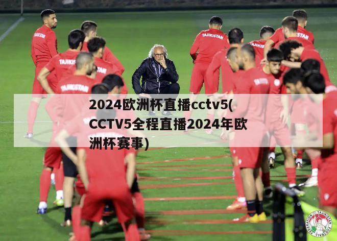 2024欧洲杯直播cctv5(CCTV5全程直播2024年欧洲杯赛事)