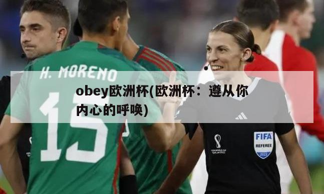 obey欧洲杯(欧洲杯：遵从你内心的呼唤)